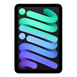 Apple iPad mini Wi-Fi 256GB - Grigio Siderale