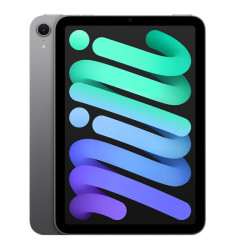 iPadï¿½mini Wi-Fiï¿½+ï¿½Cellular 128GB - Grigio siderale (MXPN3TY/A)