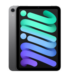 iPadï¿½mini Wi-Fiï¿½+ï¿½Cellular 256GB - Grigio siderale (MXPT3TY/A)