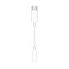 Apple Adattatore da USB-C a jack cuffie (3,5 mm)