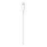 Apple Cavo da USB‑C a Lightning (2 m)