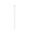 Apple Cavo da Lightning a USB (1 m)