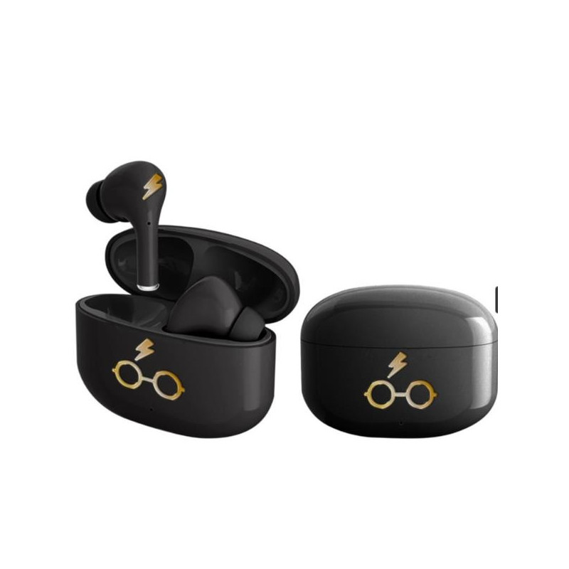 HARRY POTTER (HP1132)