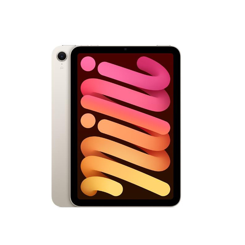 iPadmini Wi-Fi 256GB - Galassia (MXND3TY/A)