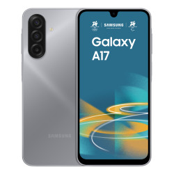 GALAXY A17 LTE 8+256GB GRAY (SM-A175FZAEEUE)