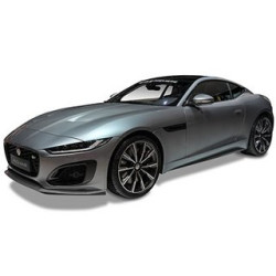 AUR.FILO TYPE-C+MIC AAA ()