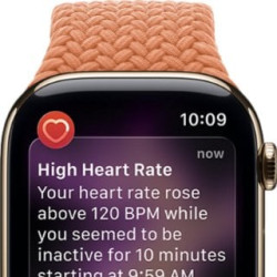 AppleWatch Series11 GPS+Cellular, Cassa 42mm in titanio color oro con Loop
