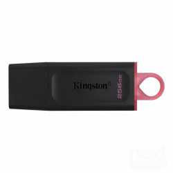 Kingston Datatraveler Exodia è una bchiavetta USB 3.2/b Gen 1 da 256GB, ideale per trasferire file rapidamente con un design pra