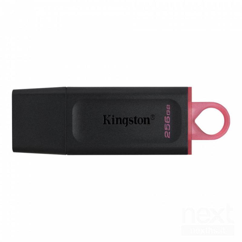 Kingston Datatraveler Exodia è una bchiavetta USB 3.2/b Gen 1 da 256GB, ideale per trasferire file rapidamente con un design pra
