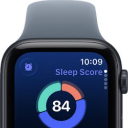 WBANDMILA - Apple Watch Band 42/44/45mm (WBANDMILA44SV)