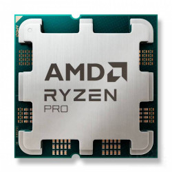 AMD Ryzen 3 Pro 8300G Processore